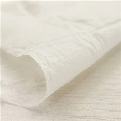 Biyobozunur Kuru Mendil
